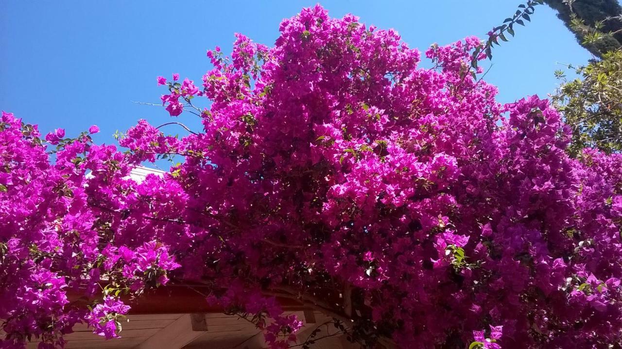 B&B Vacanza Facile Costa Rei Extérieur photo